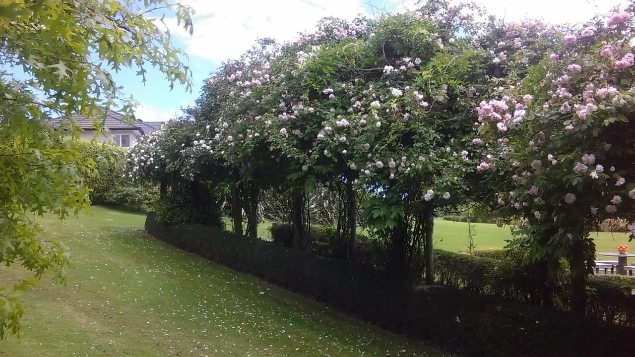 Shurinji Whanganui Exterior foto
